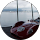 Rastin Miri profile picture